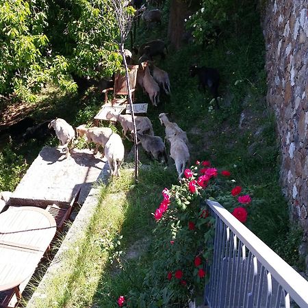 Hotel Le Niobel - Hotel De Charme Belgodère Dış mekan fotoğraf