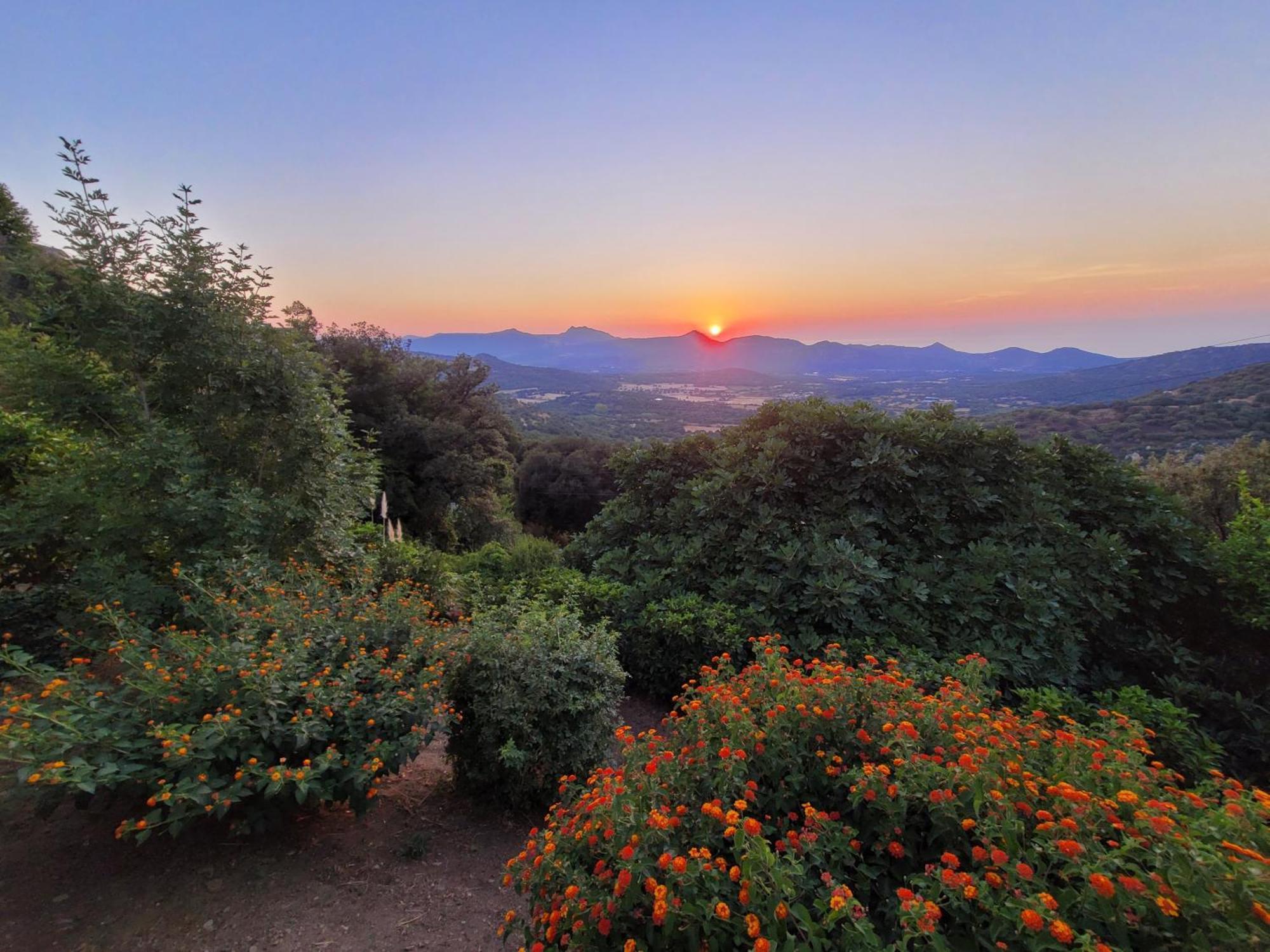 Hotel Le Niobel - Hotel De Charme Belgodère Dış mekan fotoğraf