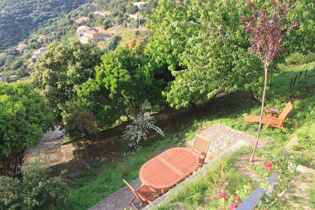 Hotel Le Niobel - Hotel De Charme Belgodère Oda fotoğraf